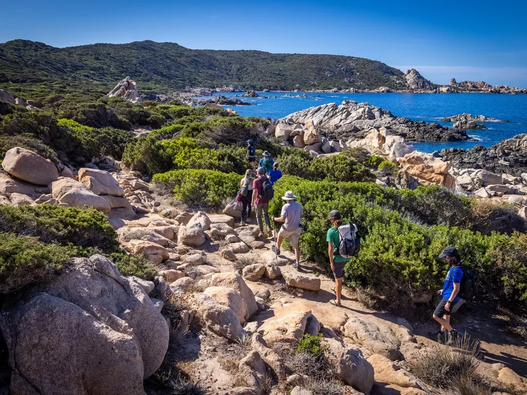 Group of hikers walking along Corsica's coast