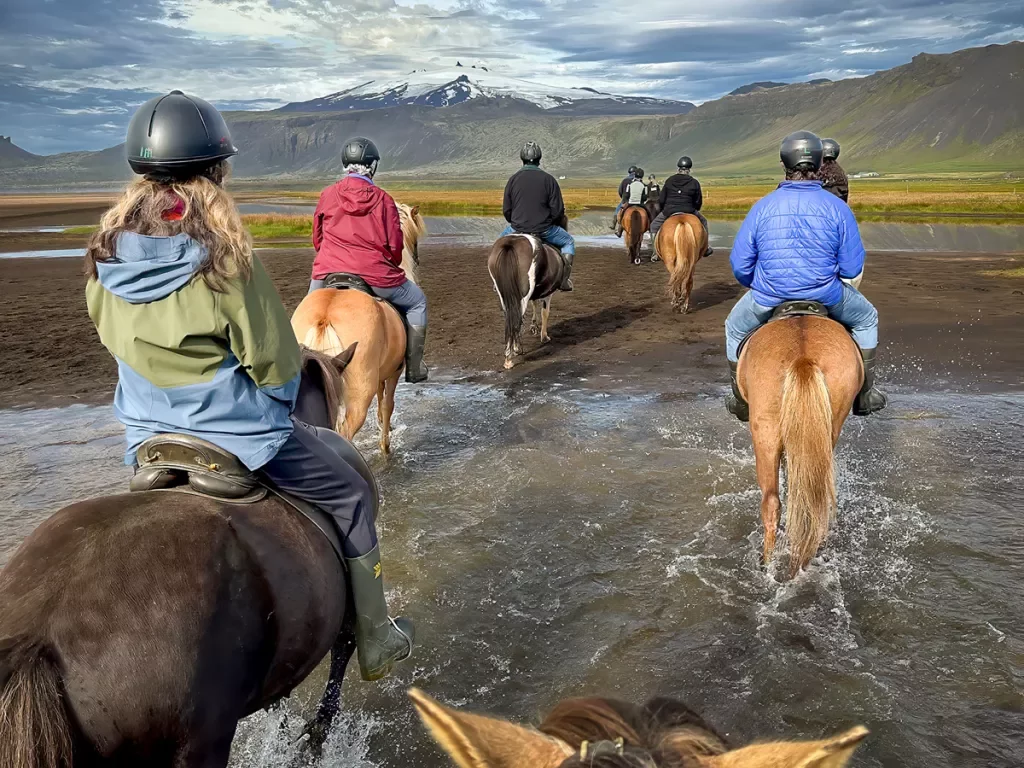 People riding horses in a shallow river