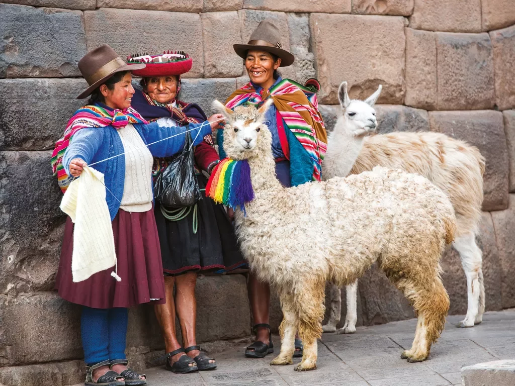 Three women with two alpacas on a leash