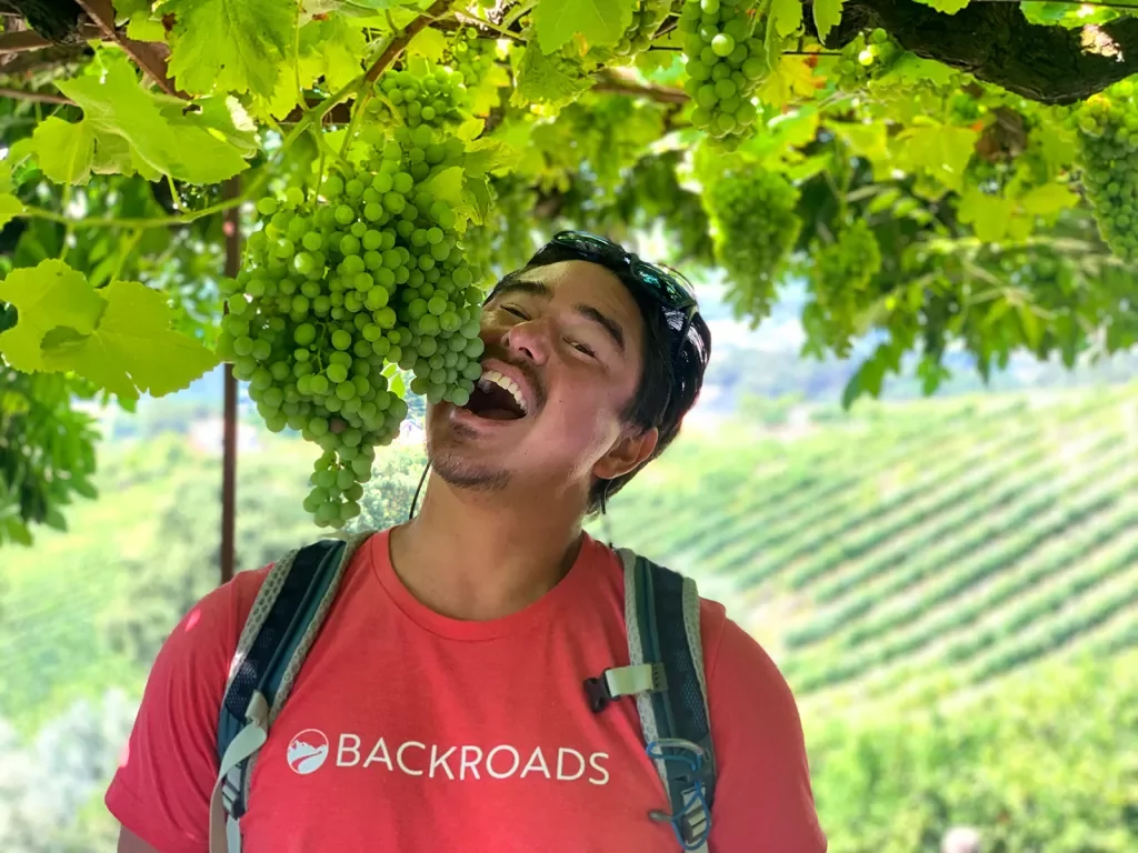 A person eats grapes off the vine