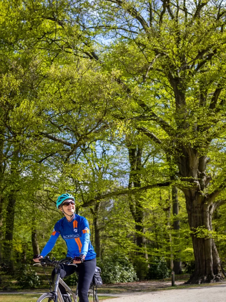 A person riding on an e-bike looking up at trees