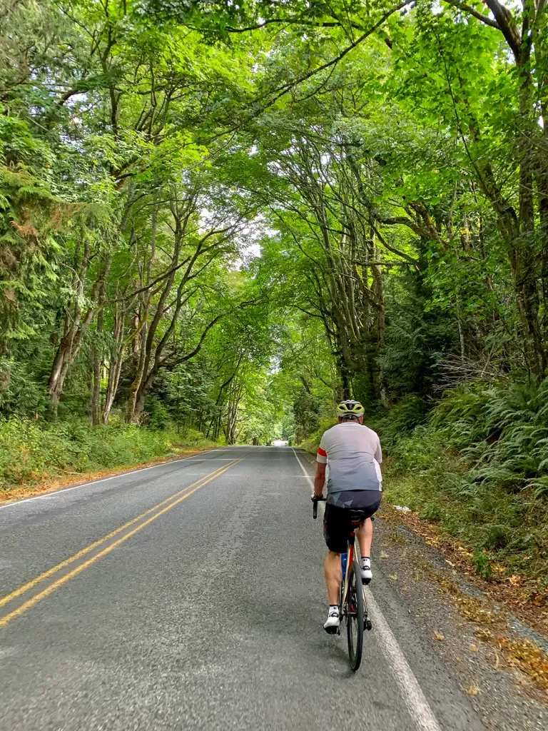 Guest cycling down forest-covered road.