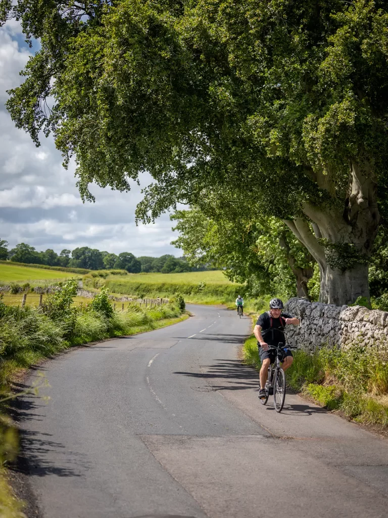 Guests cycling down road, stone wall, large tree to their left.