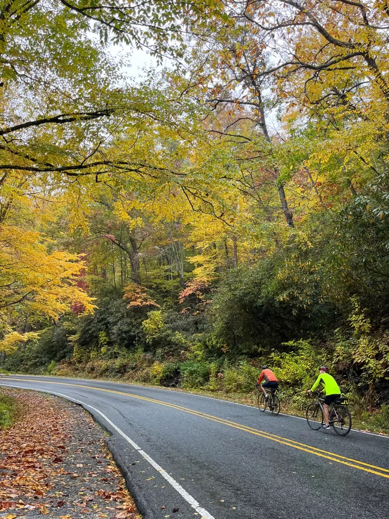 Two guests biking down rainy forest road.