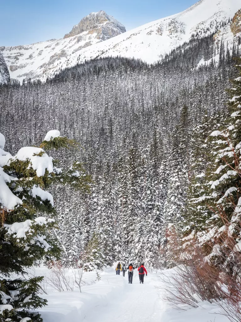 Group of guests walking in snowy forest clearing, large snowcaps in distance.