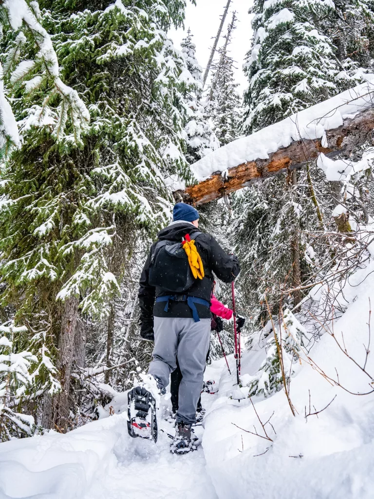 Guests with snow shoes hiking through trail.