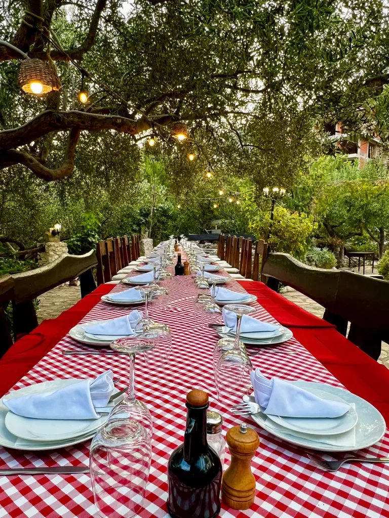 Shot of dinner table, red tablecloth, trees above.