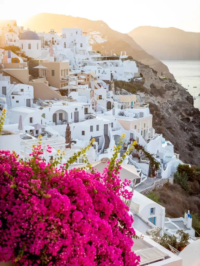 Shot of white buildings on Mediterranean coast, red flowers in foreground.