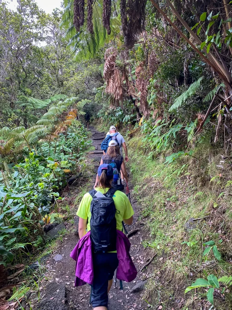 Hiking through a jungle in Hawaii