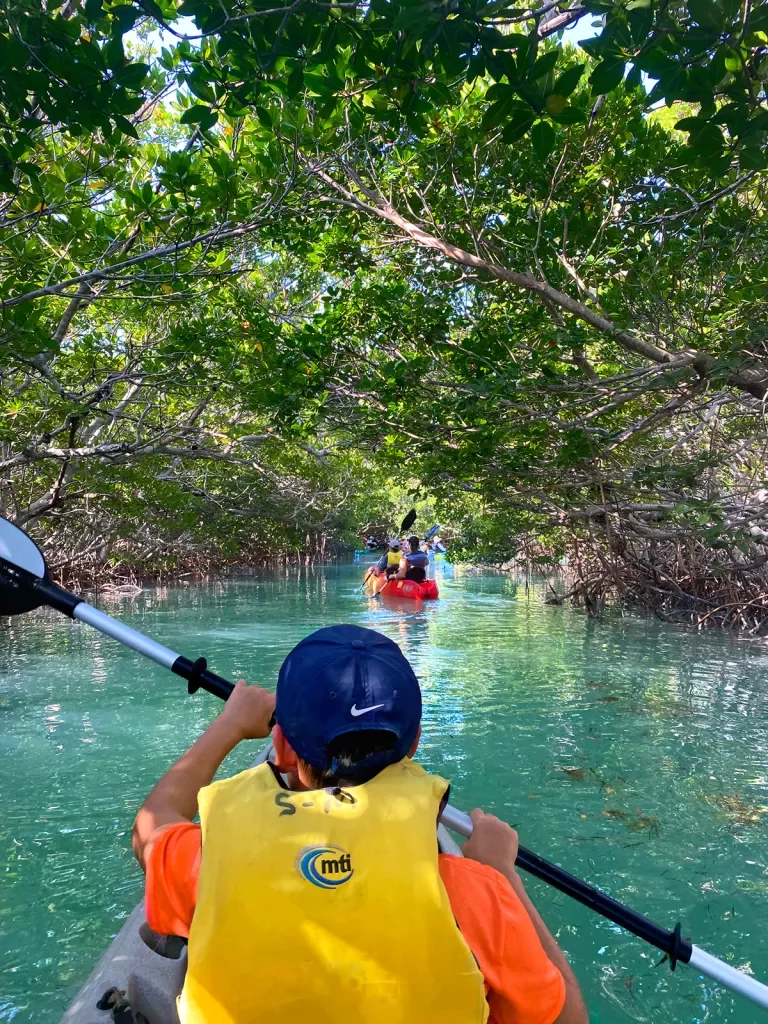 Guests kayaking through tree-covered river.