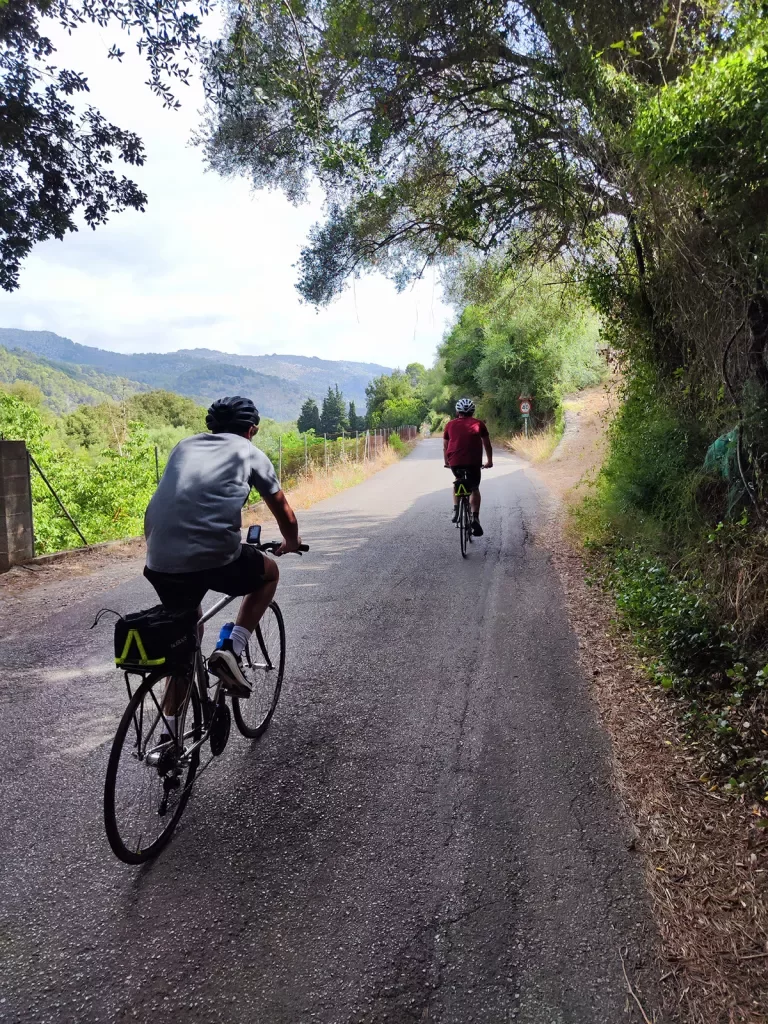 Two guests cycling down tree-covered road, hills in distance.