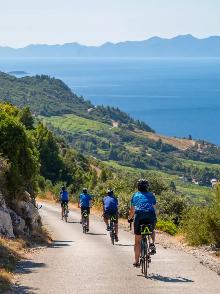Four guests cycling down coastal road, hillside, ocean in distance.