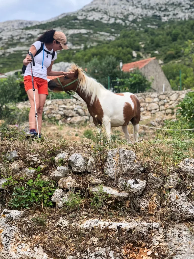 Guest in rocky, grassy hilltop, petting mini horse.