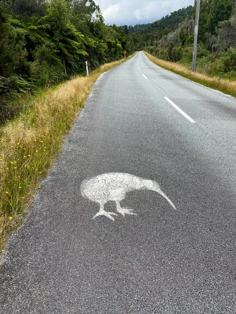 Shape of a kiwi bird spray painted on a road in New Zealand