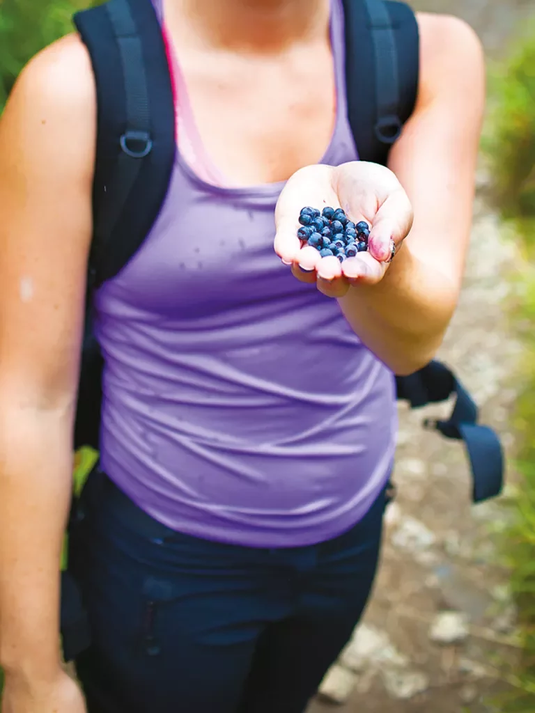 Guest holding blueberries.