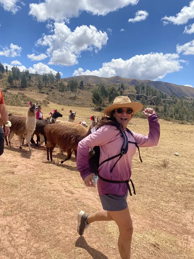 Guest running with alpaca herd.