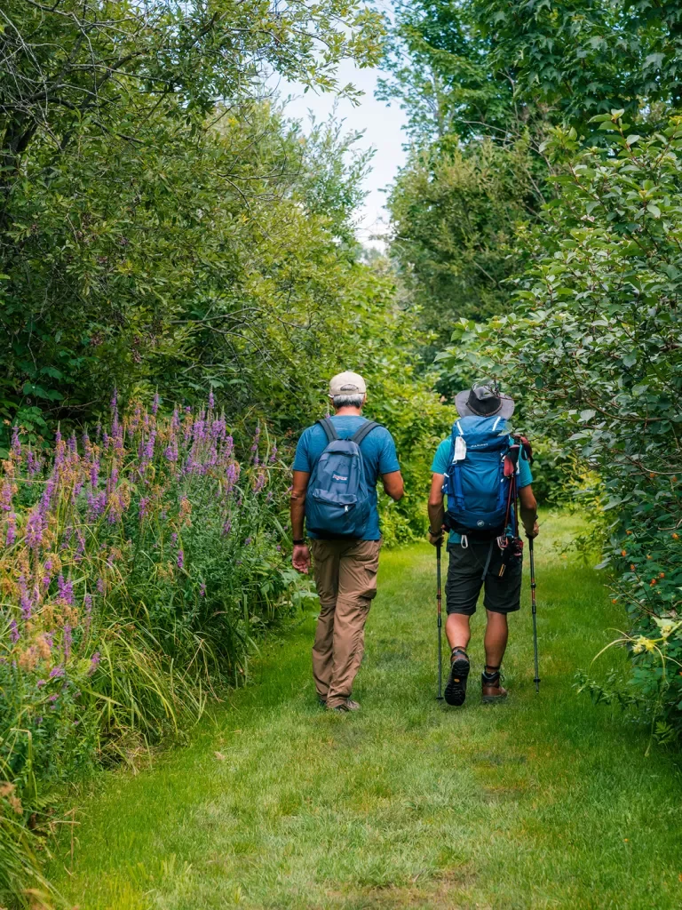 Two guests hiking down grassy path, lilac bushes to their left.