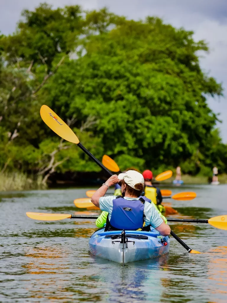 Rear shot of group of kayaking guests. Forest in front of them.