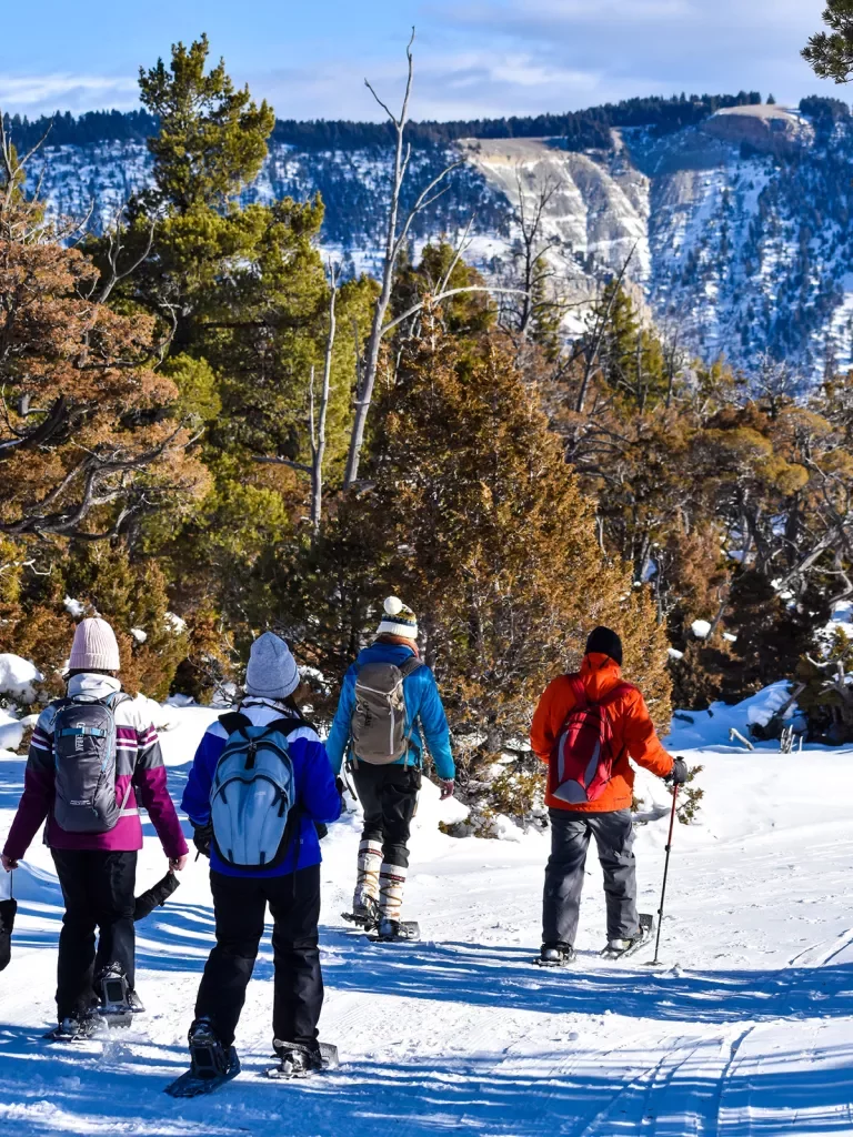 Backroads guests cross country skiing downhill