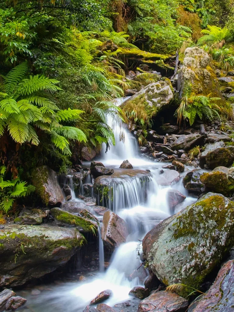 Waterfall Long Exposure image in Lush Temperate Rainforest on the West Coast of Tasmania.