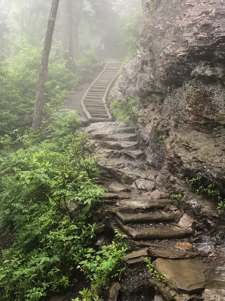Shot of foggy stone and wood staircase in forest.