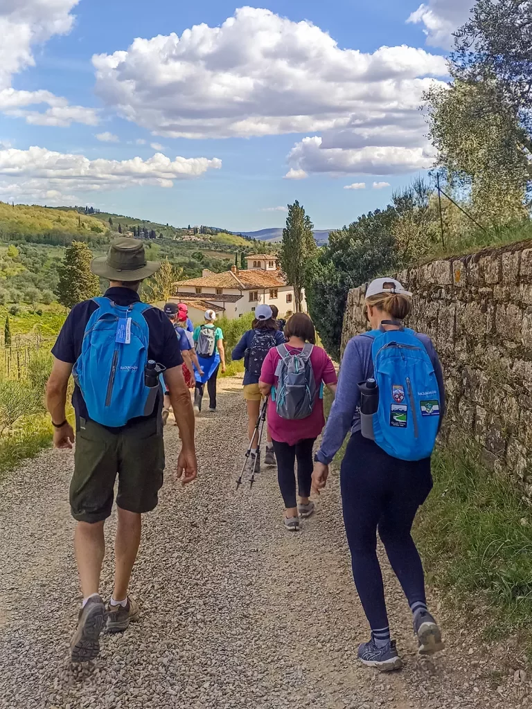 Group of guests walking through Italian countryside, village in distance.