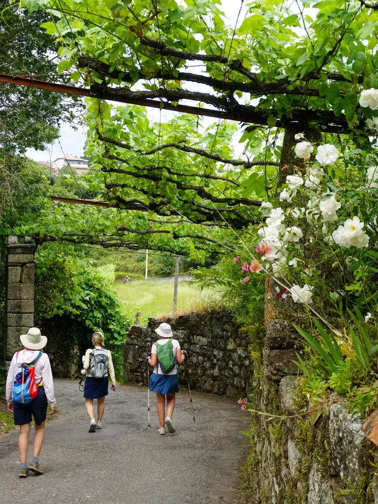 Hikers walking along a tree and flower shaded path
