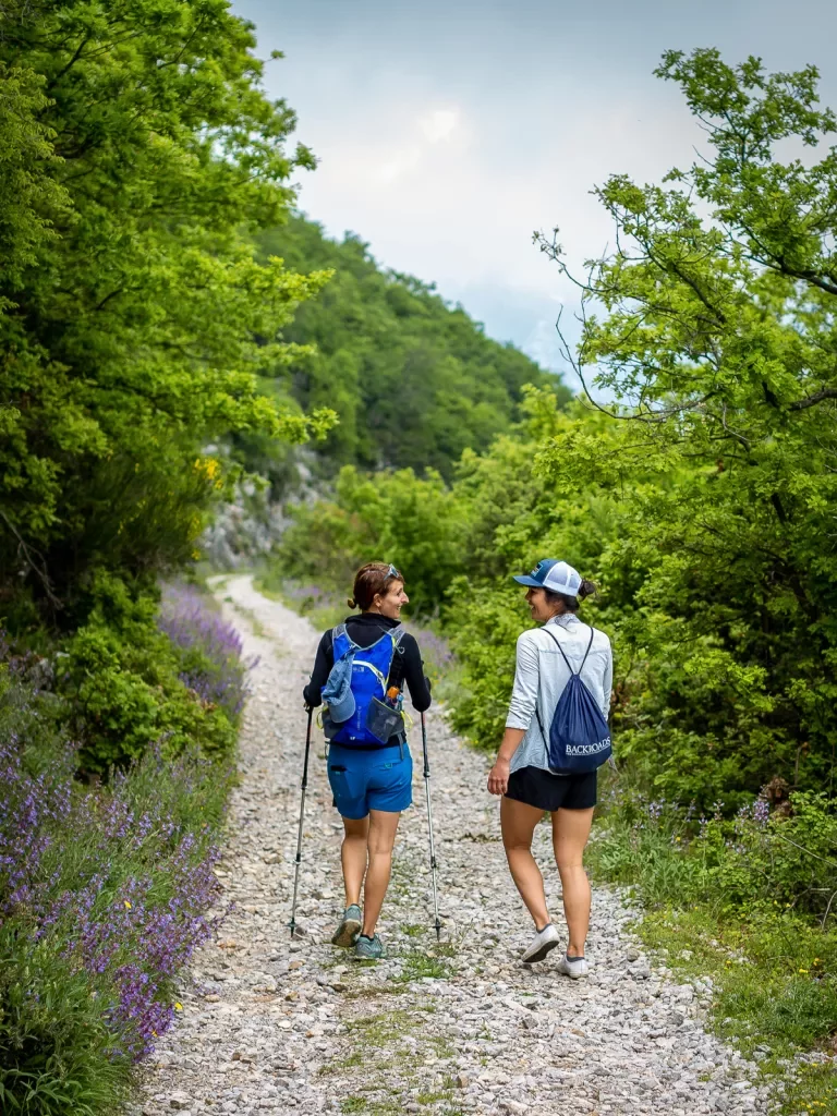 Two hikers walking down a tree lined path