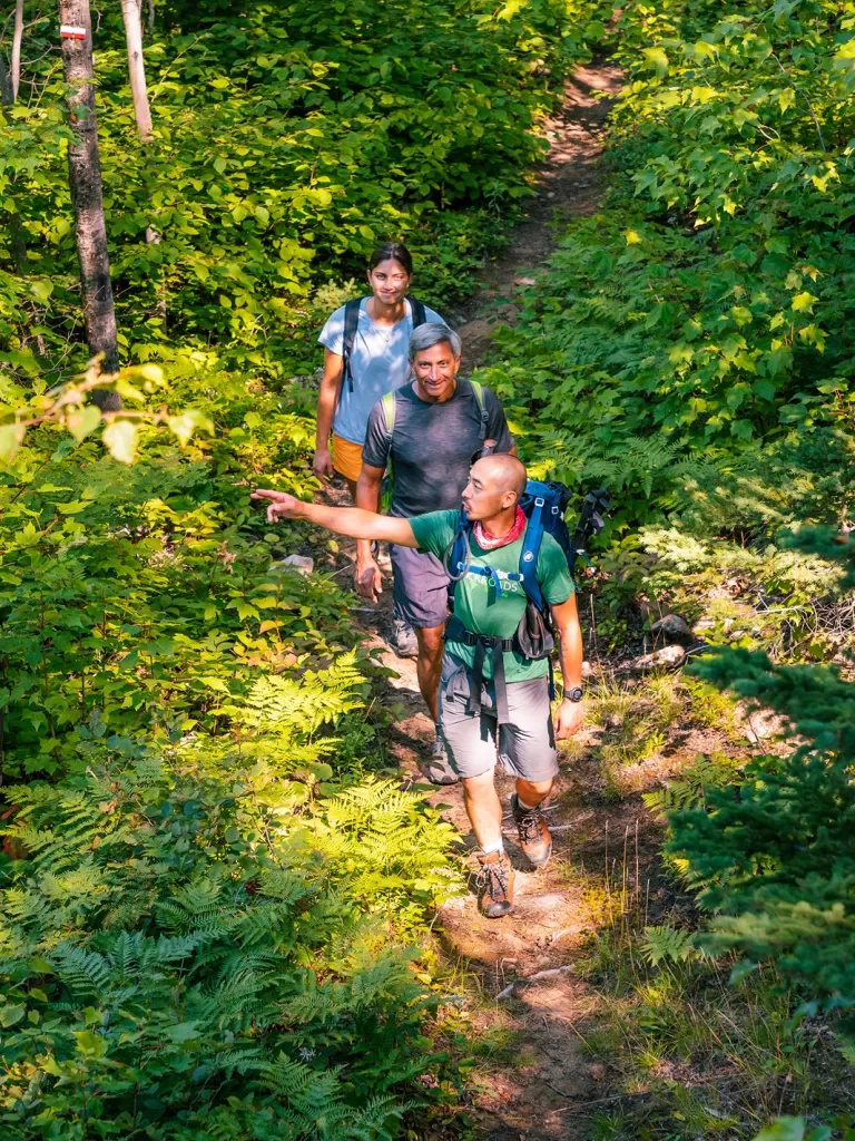 Group of hikers walking through the woods