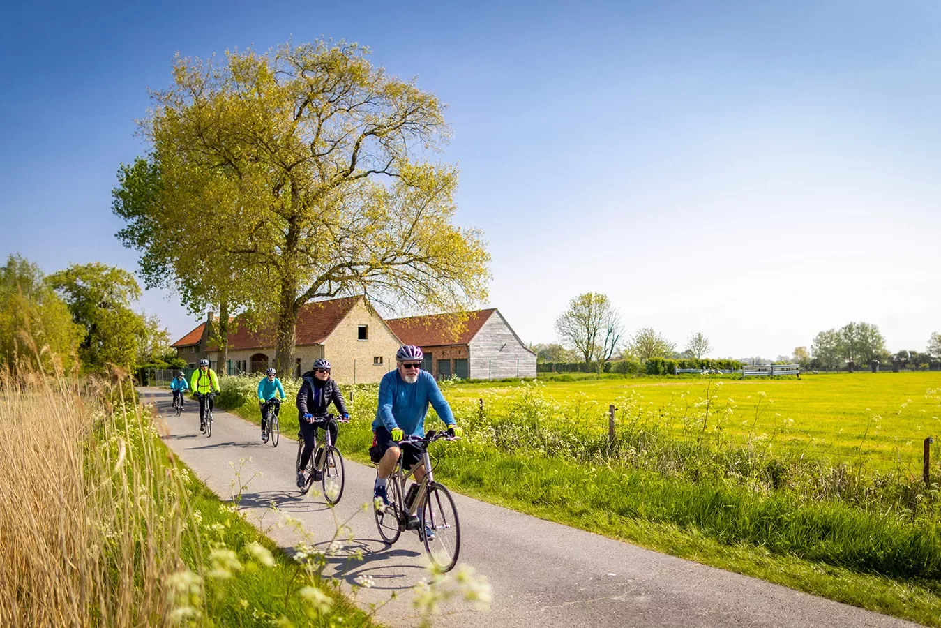 Guests biking in the countryside
