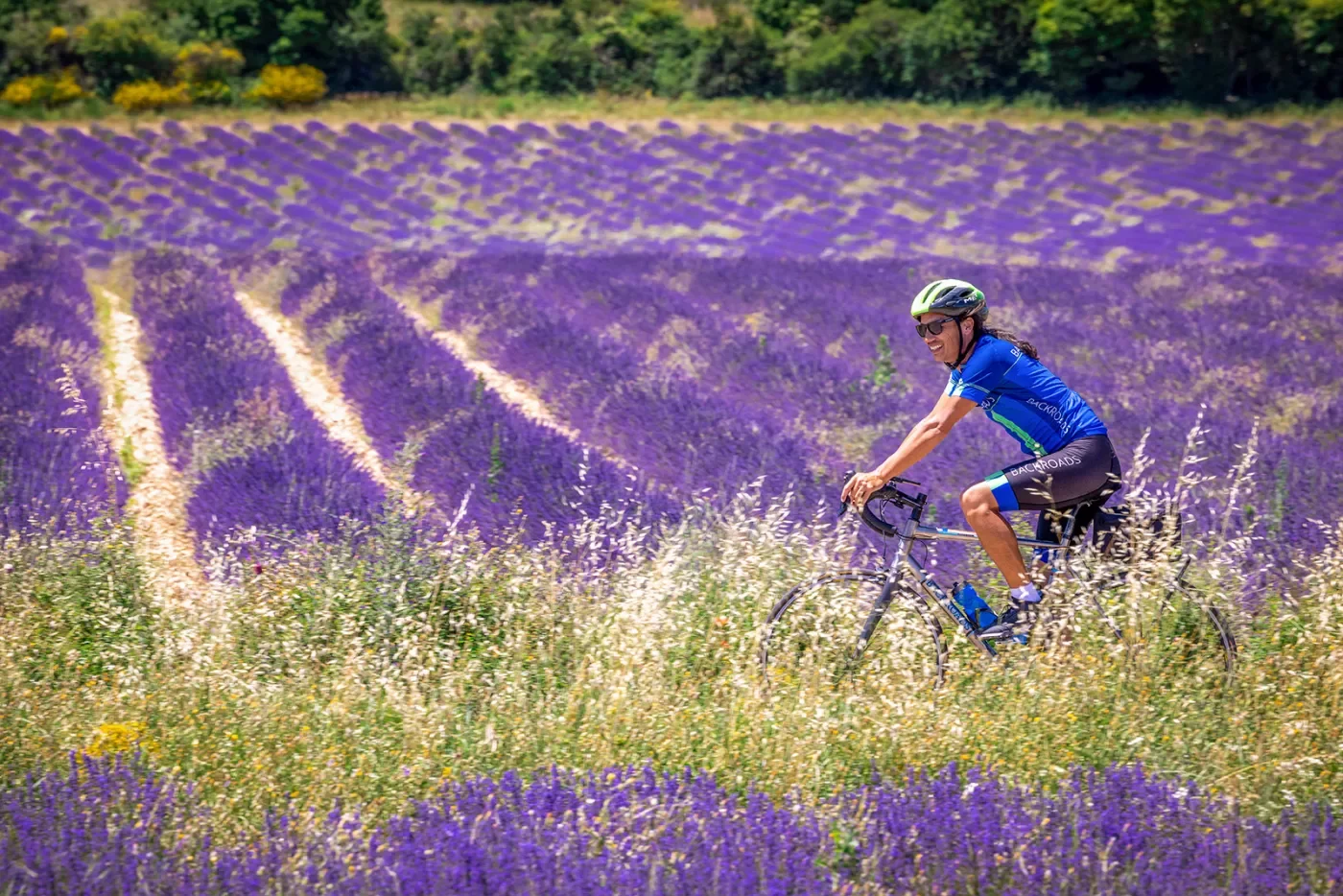Guest cycling through lavender field.