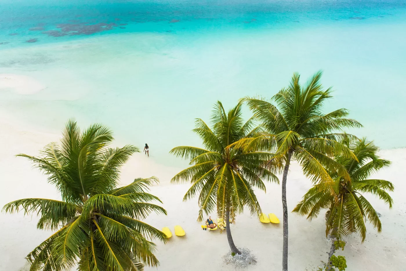 Palm trees and white sand beaches in Tahiti