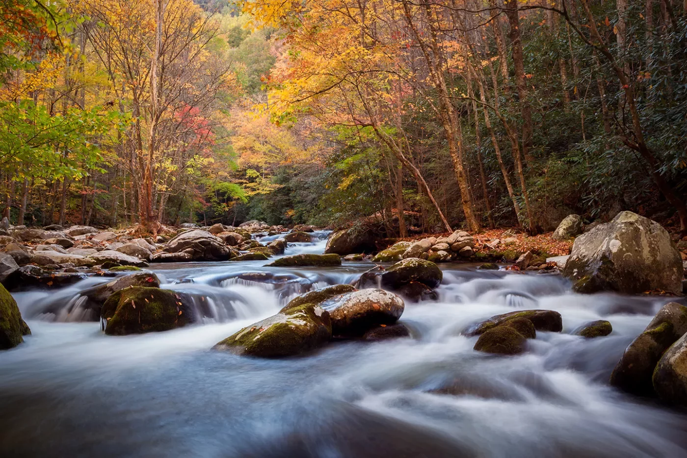 Wide shot of flowing river among autumnal forest.