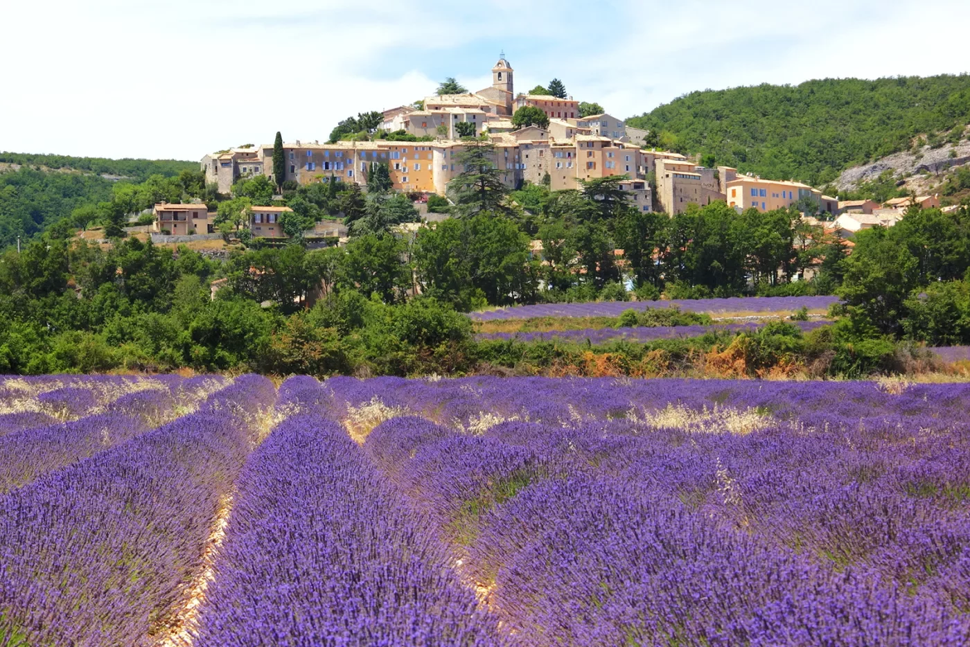 Lavender Field and Old Town of Banon