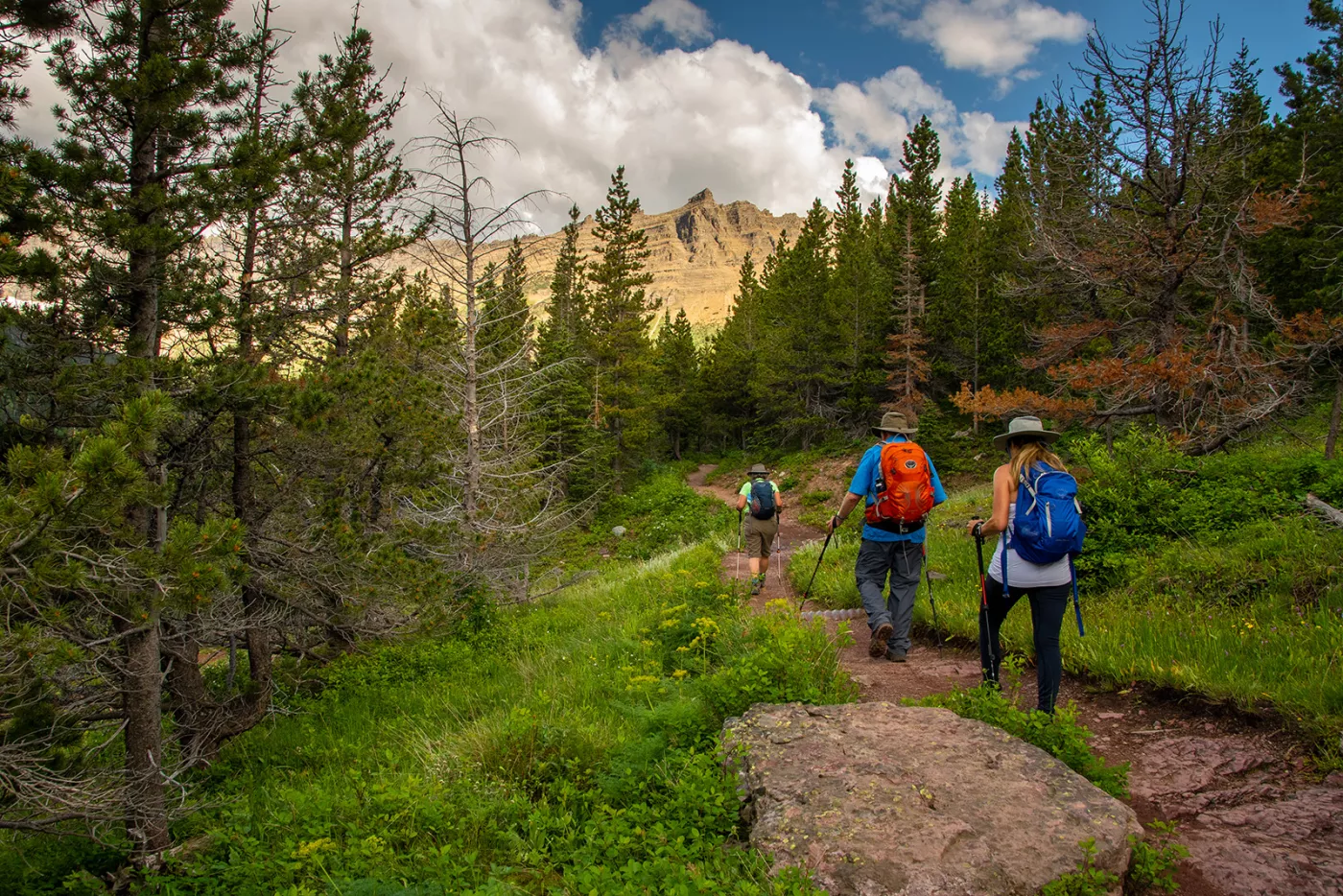 Walking best sale hiking tours