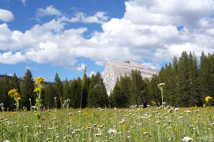 Backroads Yosemite Family Breakaway Multisport Adventure Tour