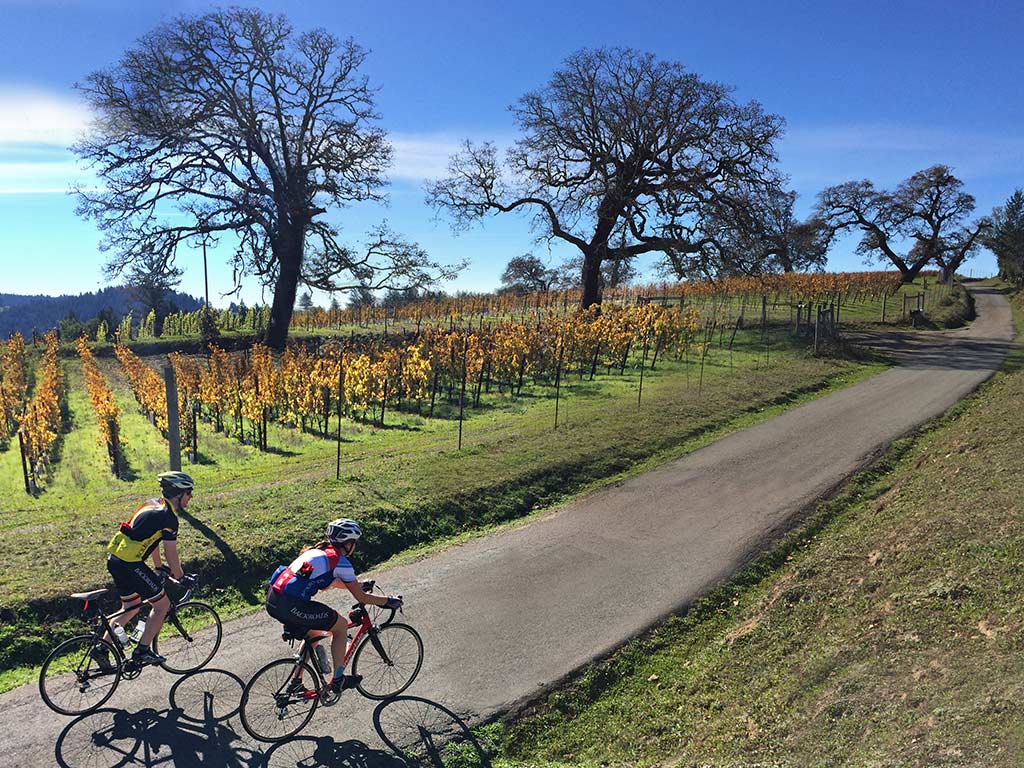 self guided bike tours california wine country