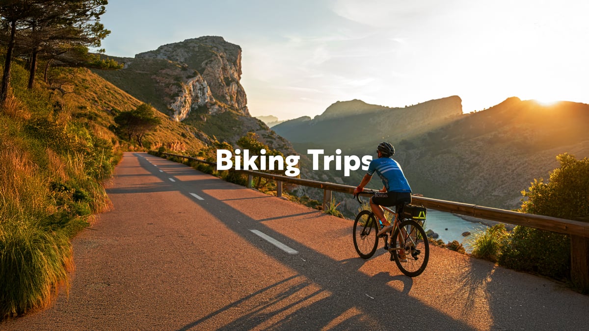 Biking Tours