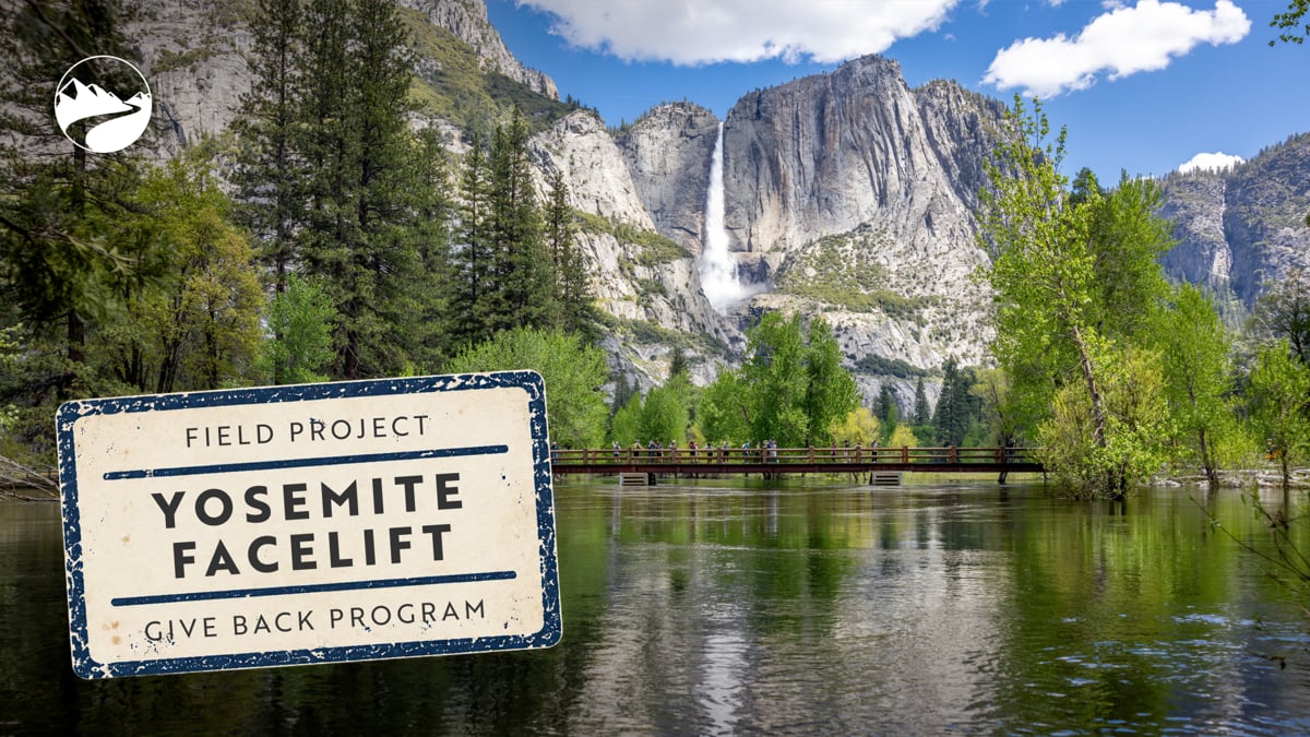 Backroads x Yosemite Facelift - 2026